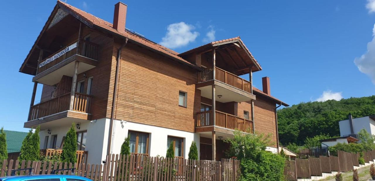 Casa Paduricea Dezmir Exterior foto