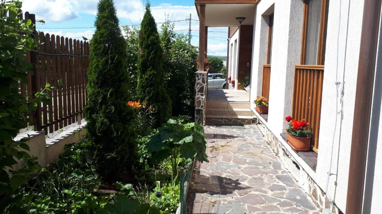 Casa Paduricea Dezmir Exterior foto