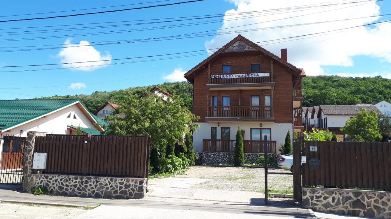 Casa Paduricea Dezmir Exterior foto